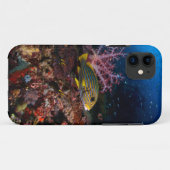 Laja Ampat Underwater Case-Mate iPhone Case (Achterkant (horizontaal))