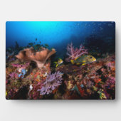 Laja Ampat Underwater Fotoplaat (voorkant)