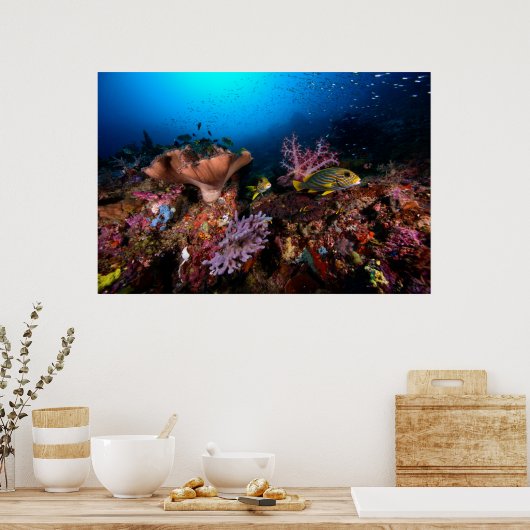 Laja Ampat Underwater Poster (Keuken)