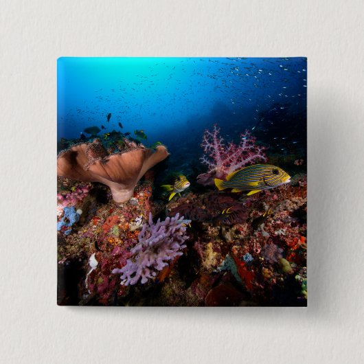 Laja Ampat Underwater Vierkante Button 5,1 Cm (Voorkant)
