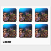 Laja Ampat Underwater Vierkante Sticker (Vel)