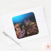 Laja Ampat Underwater Vierkante Sticker (Envelop)