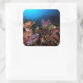 Laja Ampat Underwater Vierkante Sticker (Tas)