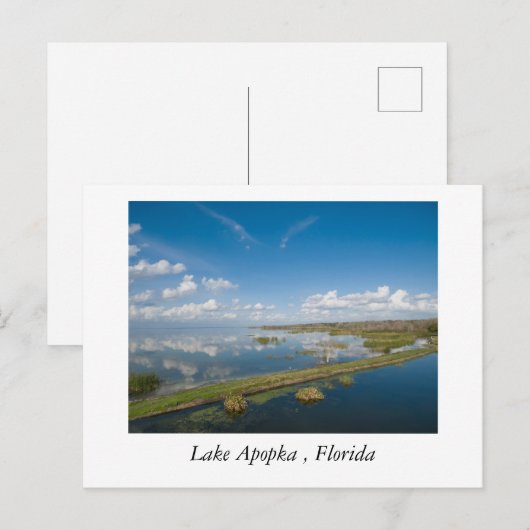 Lake Apopka, Florida Briefkaart (Voorkant / Achterkant)