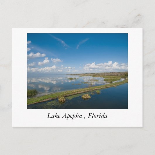 Lake Apopka, Florida Briefkaart (Voorkant)
