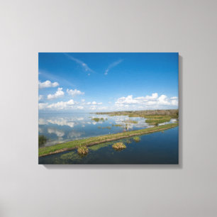 Lake Apopka Florida Canvas Afdruk