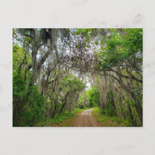 Lake Apopka Loop Trail, Florida Briefkaart (Voorkant)