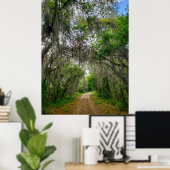 Lake Apopka Loop Trail, Florida Poster (Thuiskantoor)