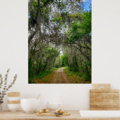 Lake Apopka Loop Trail, Florida Poster (Keuken)