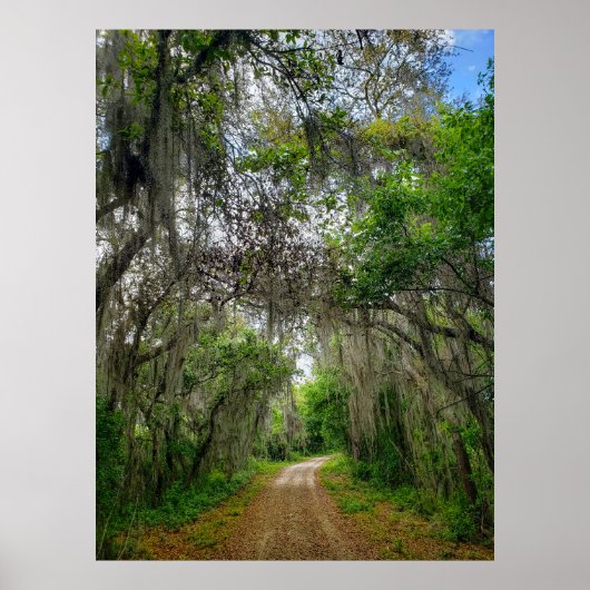 Lake Apopka Loop Trail, Florida Poster (Voorkant)