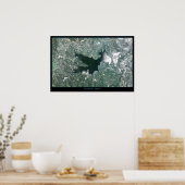 Lake Arrowiad, California satelliet poster (Keuken)