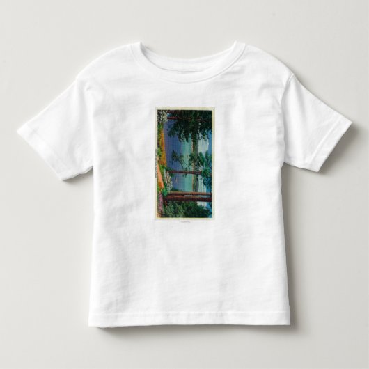 Lake Arrowiad ViewLake Arrowiad, CA Kinder Shirts (Voorkant)