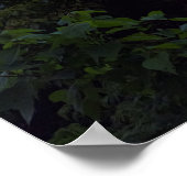 Lake Atitlan Volcanoes Poster (Hoek)