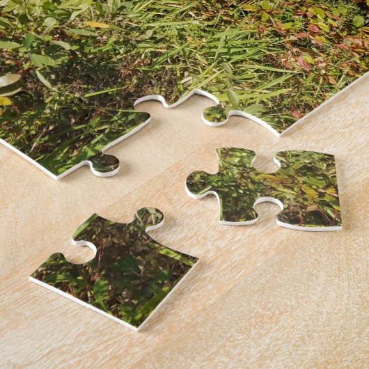 Lake Bailey Keweenaw Peninsula Michigan Legpuzzel (Zijkant)