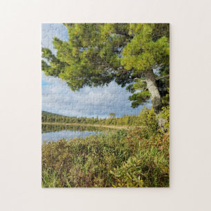Lake Bailey Keweenaw Peninsula Michigan Legpuzzel