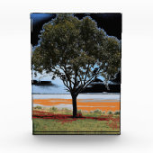 Lake Beac Solo Tree Acrylblok Fotoblokken (Voorkant)