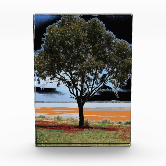 Lake Beac Solo Tree Acrylblok Fotoblokken (Voorkant)