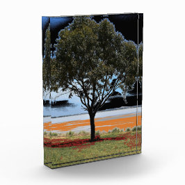 Lake Beac Solo Tree Acrylblok Fotoblokken