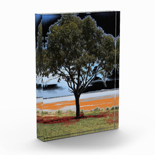Lake Beac Solo Tree Acrylblok Fotoblokken (Links)