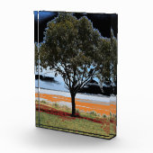 Lake Beac Solo Tree Acrylblok Fotoblokken (Rechts)