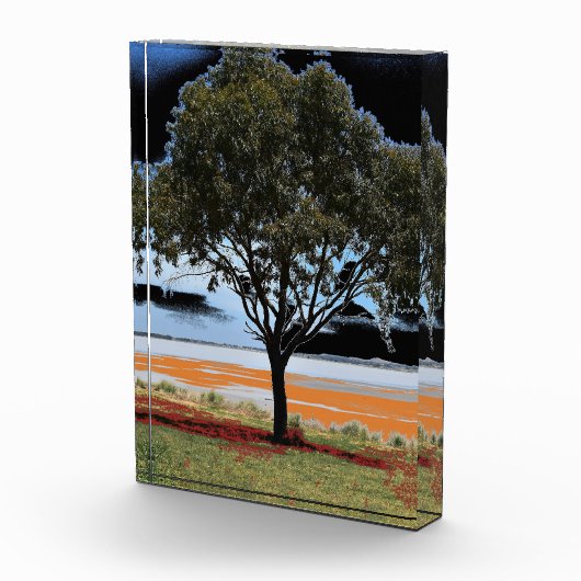 Lake Beac Solo Tree Acrylblok Fotoblokken (Rechts)