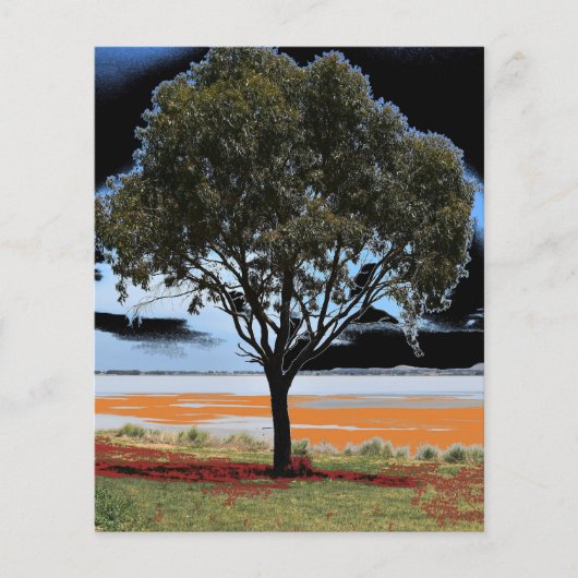 Lake Beac Solo Tree Papier Blad (Voorkant)