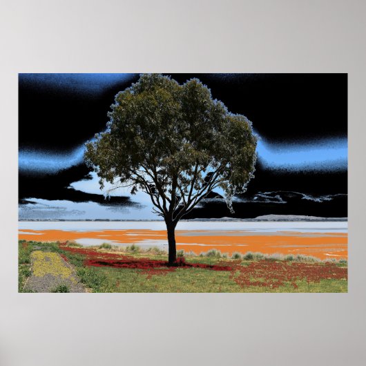 Lake Beac Solo Tree Poster (Voorkant)