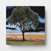 Lake Beach Solo Tree Plaque Fotoplaat (Voorkant)