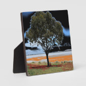 Lake Beach Solo Tree Plaque Fotoplaat (Voorkant)