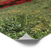 Lake Beeac Solo Boom Poster (Hoek)