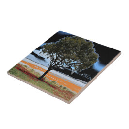 Lake Beeac Solo Tree keramische Tegel Tegeltje