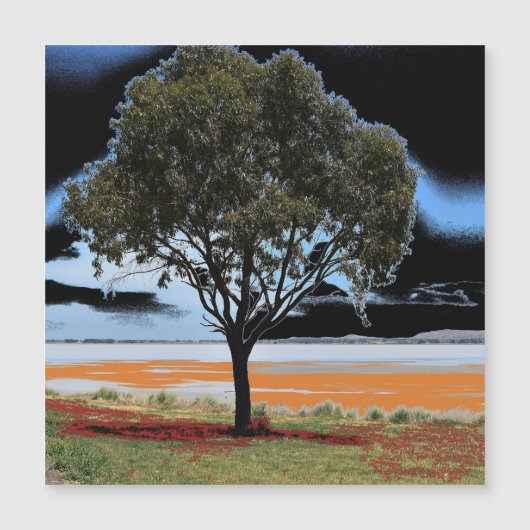 Lake Beeac Solo Tree Magnetische Kaart (Voorkant)