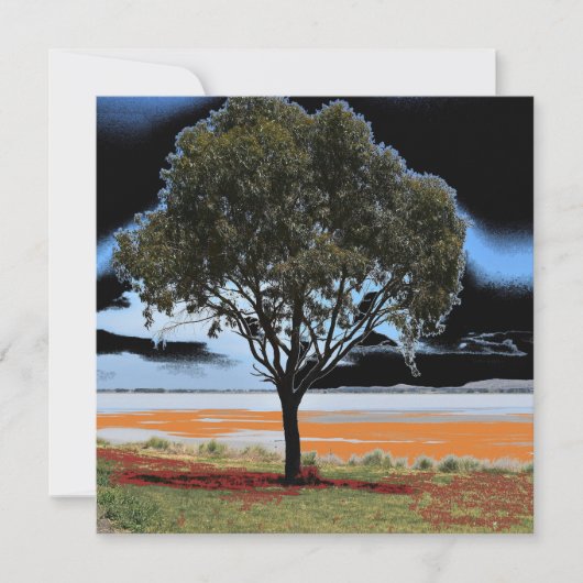 Lake Beeac Solo Tree Platte Kaart (Voorkant)