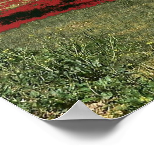 Lake Beeac Solo Tree Poster (Hoek)