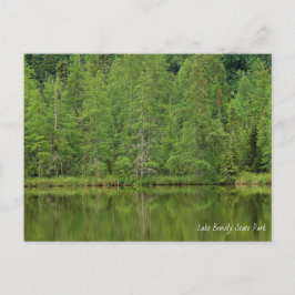 Lake Bemidji State Park Briefkaart