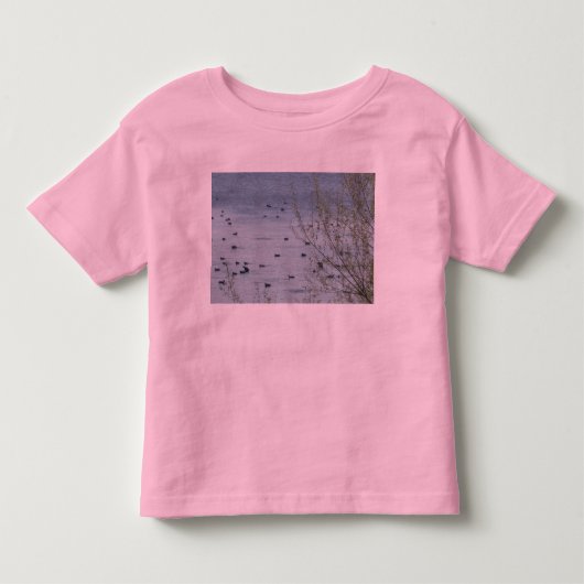 Lake Birds Toddlers Ringer T-Shirt (Voorkant)