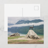 Lake Bohinj, Slovenië Zlatorog Foto Briefkaart (Voorkant / Achterkant)