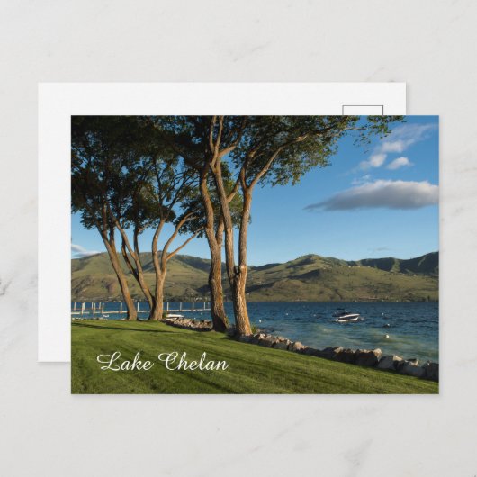 Lake Chelan Washington State Boat & Trees Reizen Briefkaart (Voorkant / Achterkant)