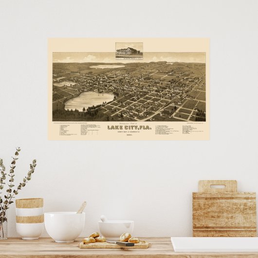 Lake City, FL Panoramic Map - 1885 Poster (Keuken)