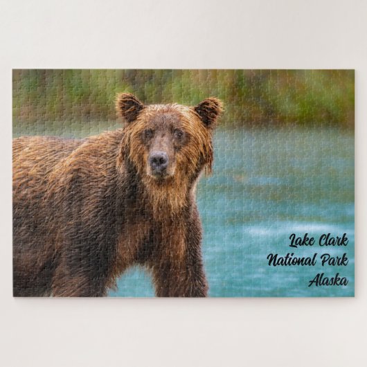 Lake Clark National Park Grizzly Bear Legpuzzel (Horizontaal)