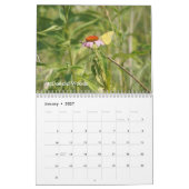 Lake County Forest PReserves 2021 Calendar Kalender (Jan 2027)