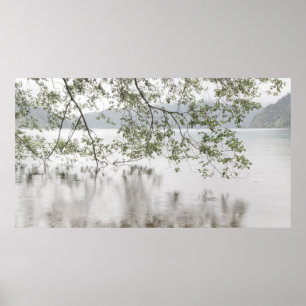 Lake Crescent Olympic National Park, WA Poster