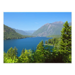 Lake Cushman Summer Print Foto Afdruk
