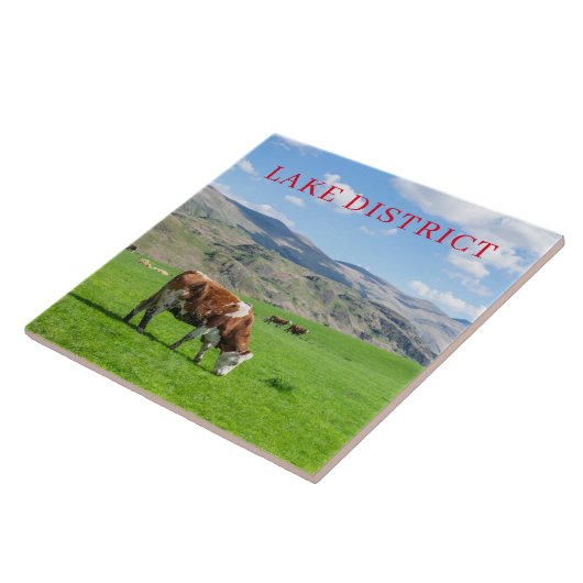 Lake District koeien grazen uitzicht keramische te Tegeltje (Zijkant)