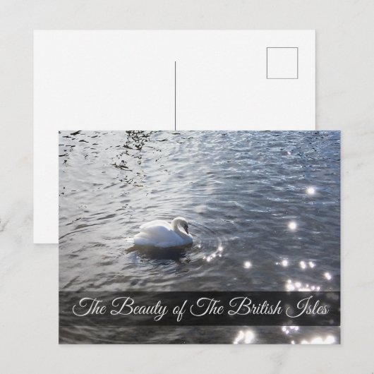 Lake District Swan Post Card Briefkaart (Voorkant / Achterkant)