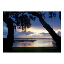 Lake Dora Florida Sunset bij nacht poster foto art