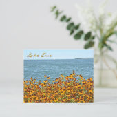 Lake Erie and Brown-eyed Susans/Lakeside, Ohio Briefkaart (Staand voorkant)