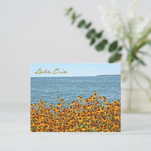 Lake Erie and Brown-eyed Susans/Lakeside, Ohio Briefkaart (Staand voorkant)