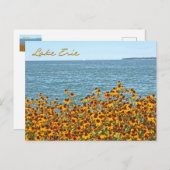 Lake Erie and Brown-eyed Susans/Lakeside, Ohio Briefkaart (Voorkant / Achterkant)