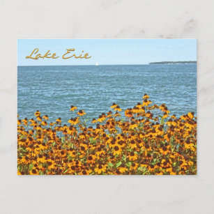 Lake Erie and Brown-eyed Susans/Lakeside, Ohio Briefkaart